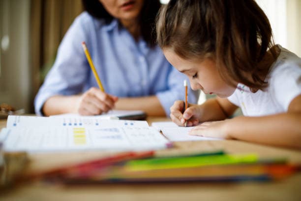 Professional Home Tutors